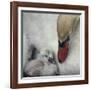 Close To You-Piet Flour-Framed Giclee Print