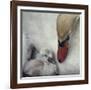 Close To You-Piet Flour-Framed Giclee Print