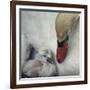 Close To You-Piet Flour-Framed Giclee Print