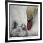 Close To You-Piet Flour-Framed Giclee Print