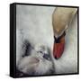 Close to You-Piet Flour-Framed Stretched Canvas