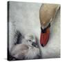 Close to You-Piet Flour-Stretched Canvas