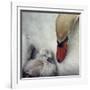 Close to You-Piet Flour-Framed Photographic Print