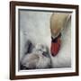 Close to You-Piet Flour-Framed Photographic Print