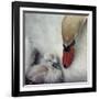 Close to You-Piet Flour-Framed Photographic Print