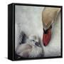 Close to You-Piet Flour-Framed Stretched Canvas