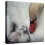 Close to You-Piet Flour-Stretched Canvas