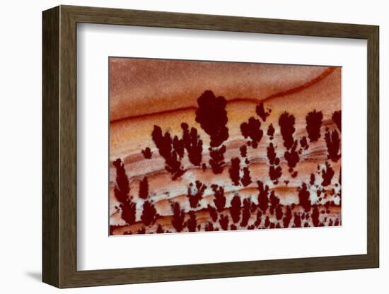 Close Up Apache Jasper-Darrell Gulin-Framed Photographic Print