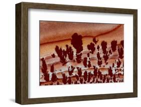 Close Up Apache Jasper-Darrell Gulin-Framed Photographic Print