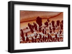 Close Up Apache Jasper-Darrell Gulin-Framed Photographic Print