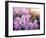 Close-Up Beautiful Lilac Flowers with the Leaves-Leonid Tit-Framed Photographic Print