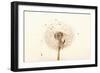 Close-up Dandelion seeds-null-Framed Photographic Print
