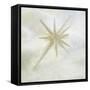 Close-Up Detail Of A Star-Shaped Christmas Ornament-Design Pics-Framed Stretched Canvas