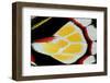 Close-Up Detail Wing Pattern of Tropical Butterfly-Darrell Gulin-Framed Photographic Print