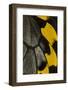 Close-Up Detail Wing Pattern of Tropical Butterfly-Darrell Gulin-Framed Photographic Print