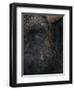 Close-Up Face of European Bison {Bison Bonasus)-Pete Cairns-Framed Premium Photographic Print