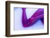 Close up Female Dark Skinned Body, Legs in Lingerie in Milk Bath with Soft White Glow in Neon Light-master1305-Framed Photographic Print