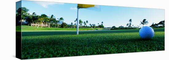 Close Up Golf Ball and Hole, Hawaii, USA-null-Stretched Canvas