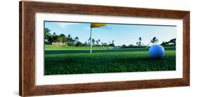 Close Up Golf Ball and Hole, Hawaii, USA-null-Framed Photographic Print