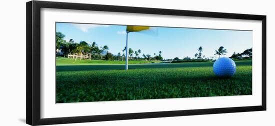 Close Up Golf Ball and Hole, Hawaii, USA-null-Framed Photographic Print