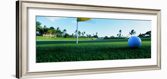 Close Up Golf Ball and Hole, Hawaii, USA-null-Framed Photographic Print