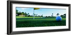 Close Up Golf Ball and Hole, Hawaii, USA-null-Framed Photographic Print