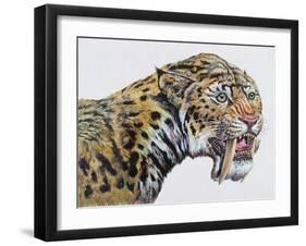 Close-Up Headshot of Megantereon, Pliocene Epoch-null-Framed Art Print