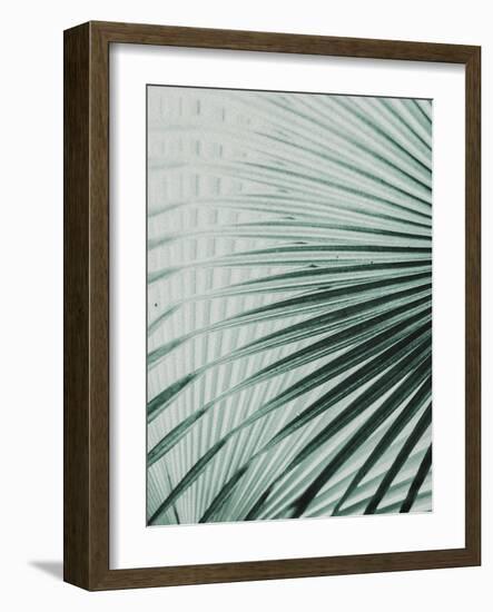 Close up II-SOIL-Framed Art Print