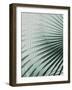 Close up II-SOIL-Framed Art Print