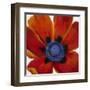 Close-Up II-Tim O'toole-Framed Art Print