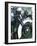 Close-up Image of Classic Motorcycles-null-Framed Photographic Print