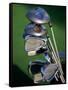 Close-up Image of Golf Clubs-null-Framed Stretched Canvas