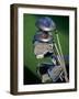 Close-up Image of Golf Clubs-null-Framed Photographic Print
