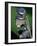 Close-up Image of Golf Clubs-null-Framed Photographic Print