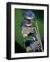 Close-up Image of Golf Clubs-null-Framed Photographic Print