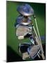 Close-up Image of Golf Clubs-null-Mounted Photographic Print