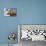 Close-Up Low Angle View of Brown Cow Against Blue Sky-null-Photo displayed on a wall