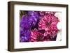 Close-up magenta violet-George and Marilu Theodore-Framed Photographic Print