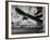 Close-up Monochromatic Image of a Skateboard-null-Framed Photographic Print