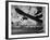 Close-up Monochromatic Image of a Skateboard-null-Framed Photographic Print