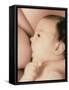 Close-up of a Baby Feeding At His Mother's Breast-Cristina-Framed Stretched Canvas