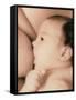 Close-up of a Baby Feeding At His Mother's Breast-Cristina-Framed Stretched Canvas