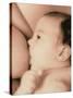 Close-up of a Baby Feeding At His Mother's Breast-Cristina-Stretched Canvas