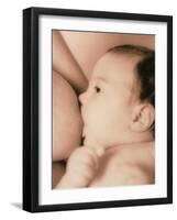 Close-up of a Baby Feeding At His Mother's Breast-Cristina-Framed Photographic Print
