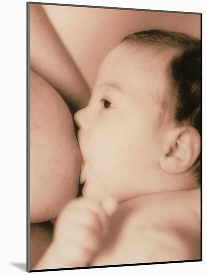 Close-up of a Baby Feeding At His Mother's Breast-Cristina-Mounted Photographic Print