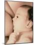 Close-up of a Baby Feeding At His Mother's Breast-Cristina-Mounted Photographic Print