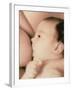 Close-up of a Baby Feeding At His Mother's Breast-Cristina-Framed Photographic Print