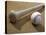 Close-up of a Baseball Bat and a Baseball-null-Stretched Canvas