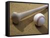 Close-up of a Baseball Bat and a Baseball-null-Framed Stretched Canvas