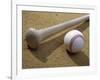 Close-up of a Baseball Bat and a Baseball-null-Framed Premium Photographic Print